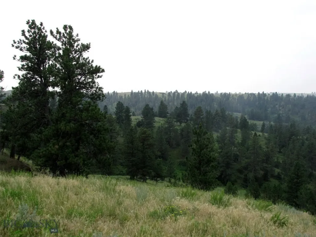 Tbd Lone Rock Canyon Lane Hysham MT 59076
