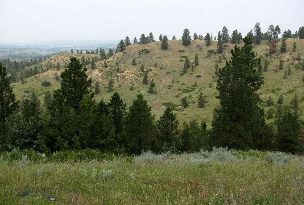 Tbd Lone Rock Canyon Lane Hysham MT 59076