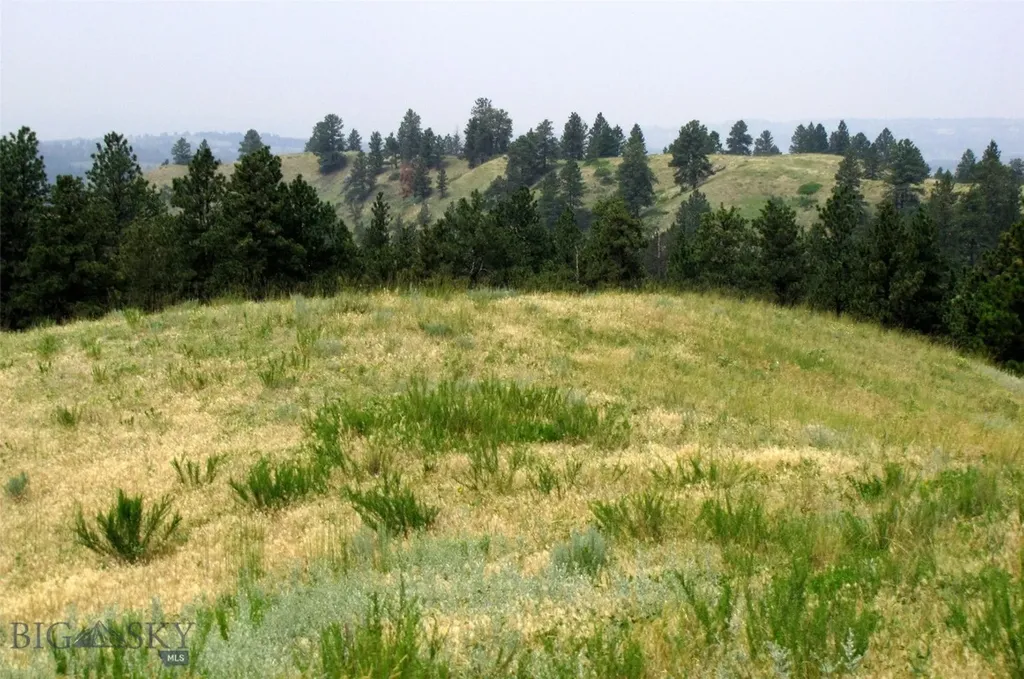 Tbd Lone Rock Canyon Lane Hysham MT 59076