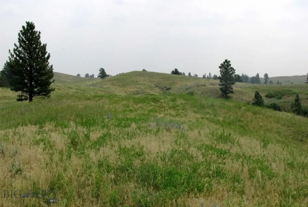 Tbd Lone Rock Canyon Lane Hysham MT 59076