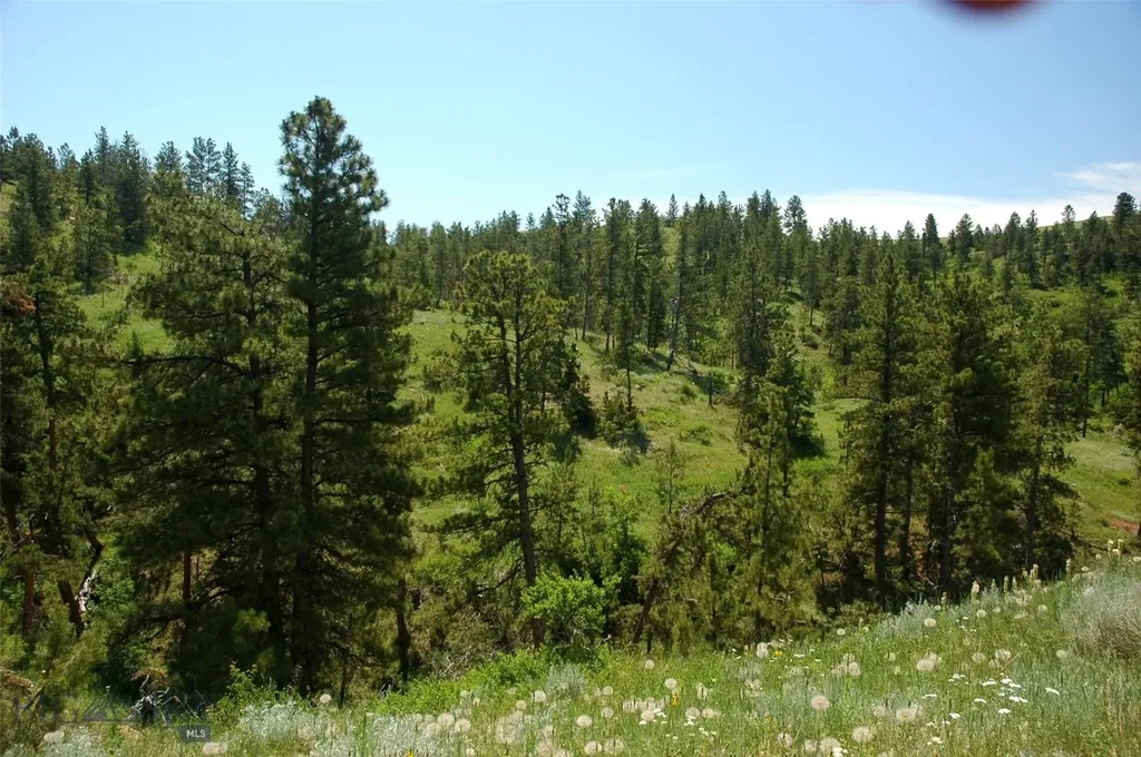 Tbd Lone Rock Canyon Lane Hysham MT 59076