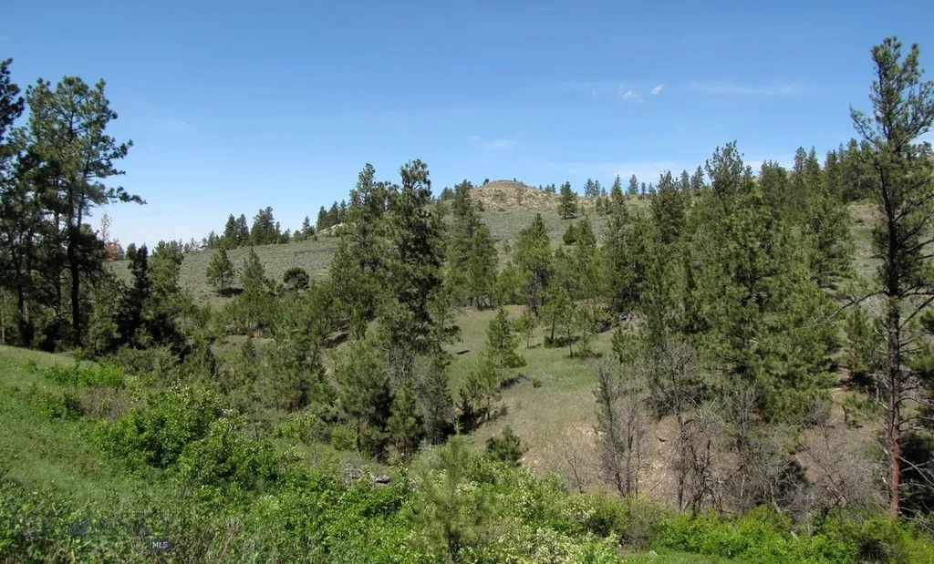 Tbd Lone Rock Canyon Lane Hysham MT 59076