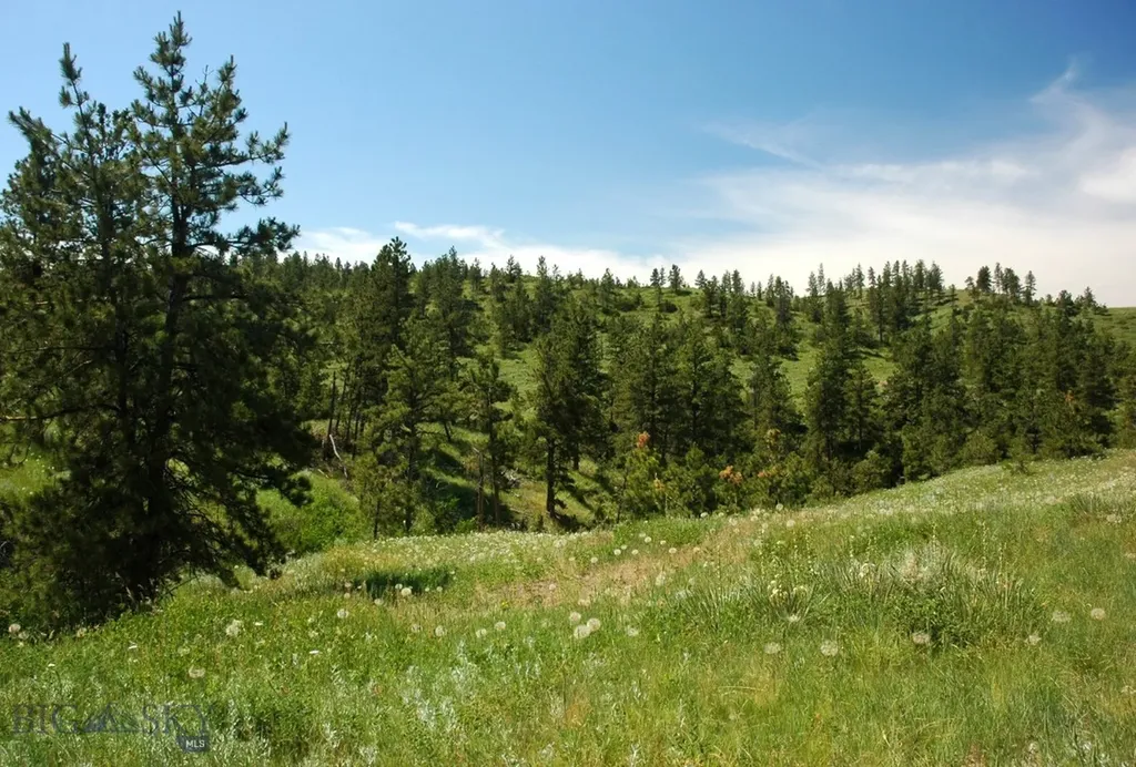Tbd Lone Rock Canyon Lane Hysham MT 59076