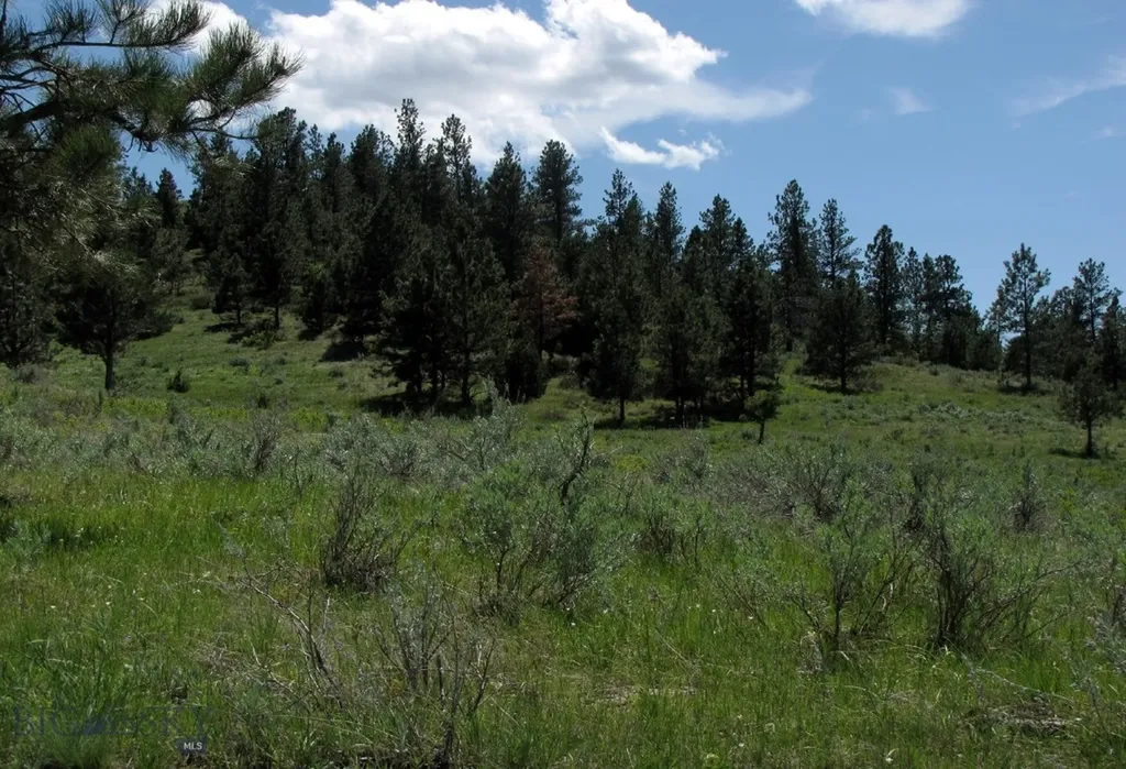 Tbd Lone Rock Canyon Lane Hysham MT 59076