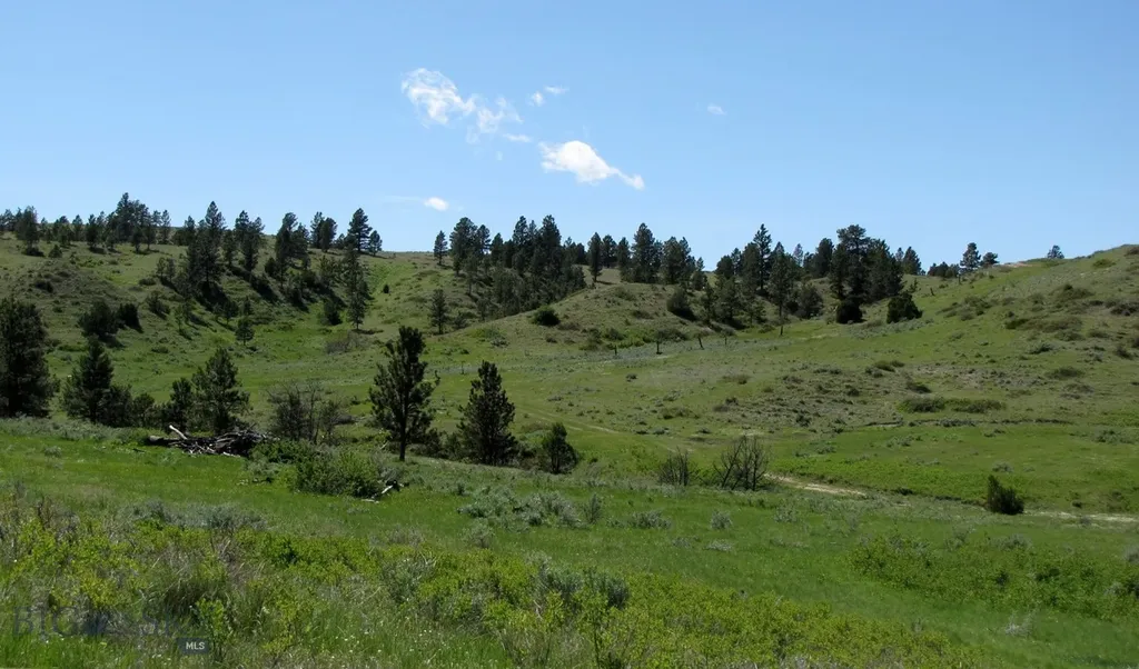 Tbd Lone Rock Canyon Lane Hysham MT 59076