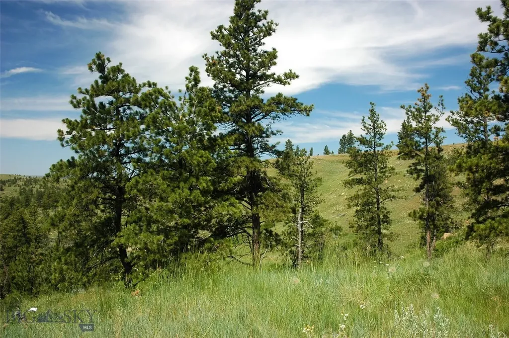 Tbd Lone Rock Canyon Lane Hysham MT 59076