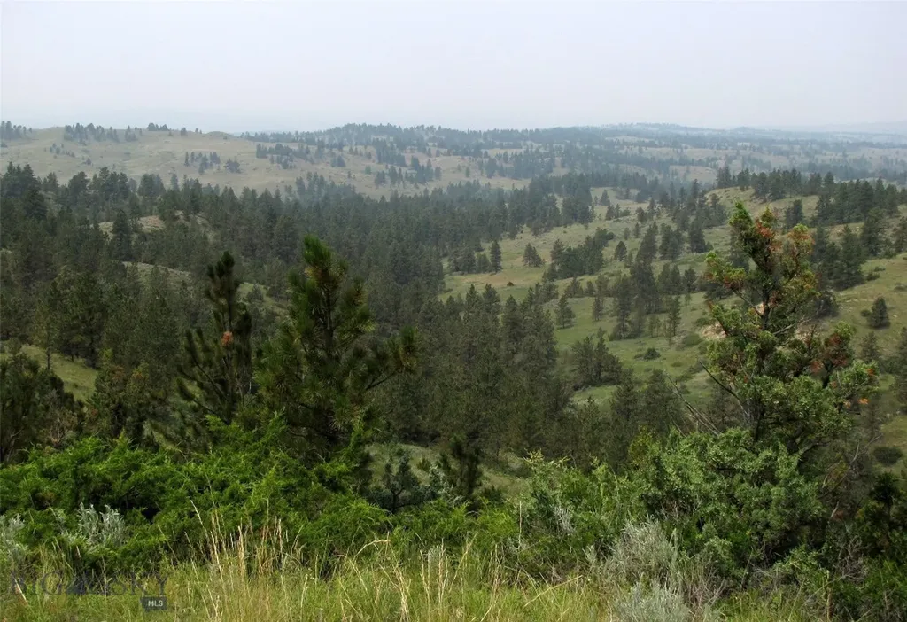 Tbd Lone Rock Canyon Lane Hysham MT 59076