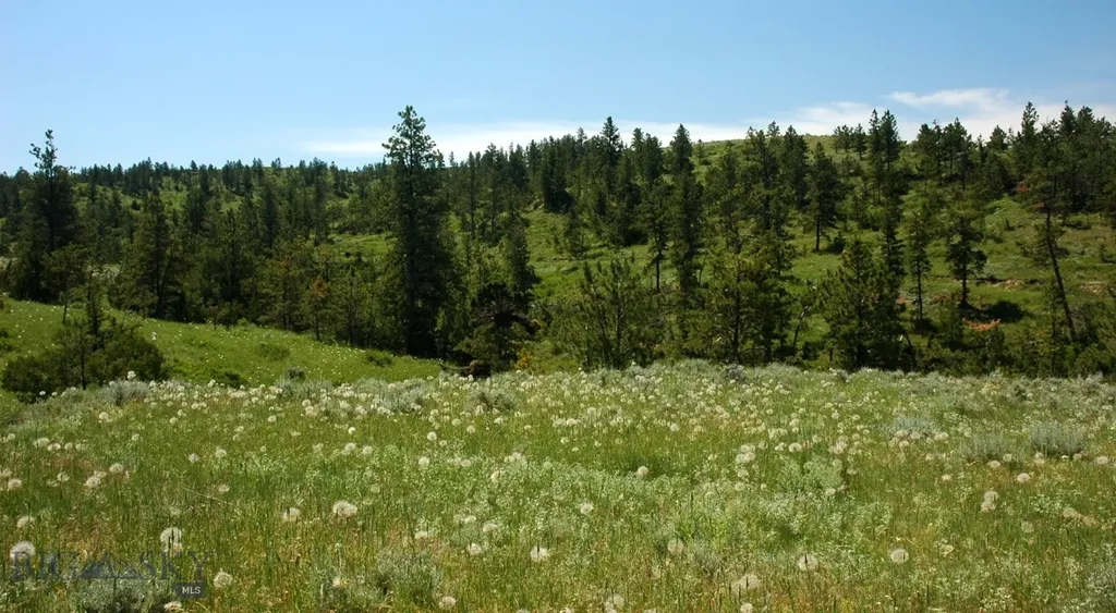 Tbd Lone Rock Canyon Lane Hysham MT 59076