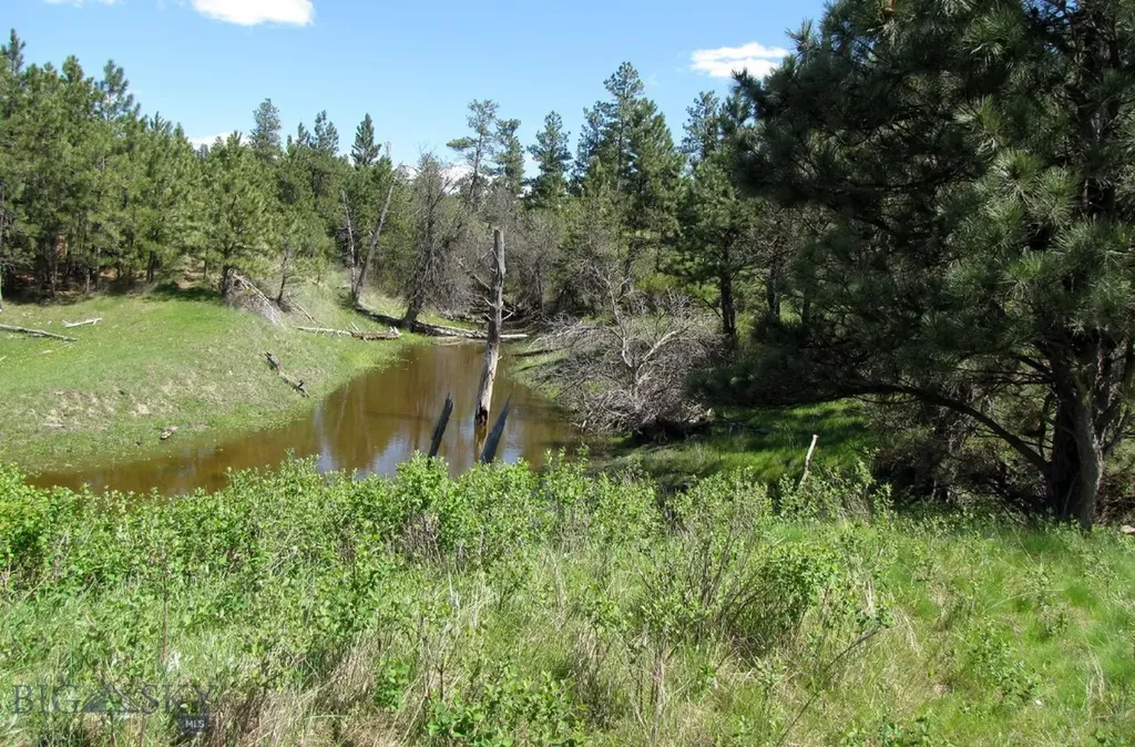 Tbd Lone Rock Canyon Lane Hysham MT 59076