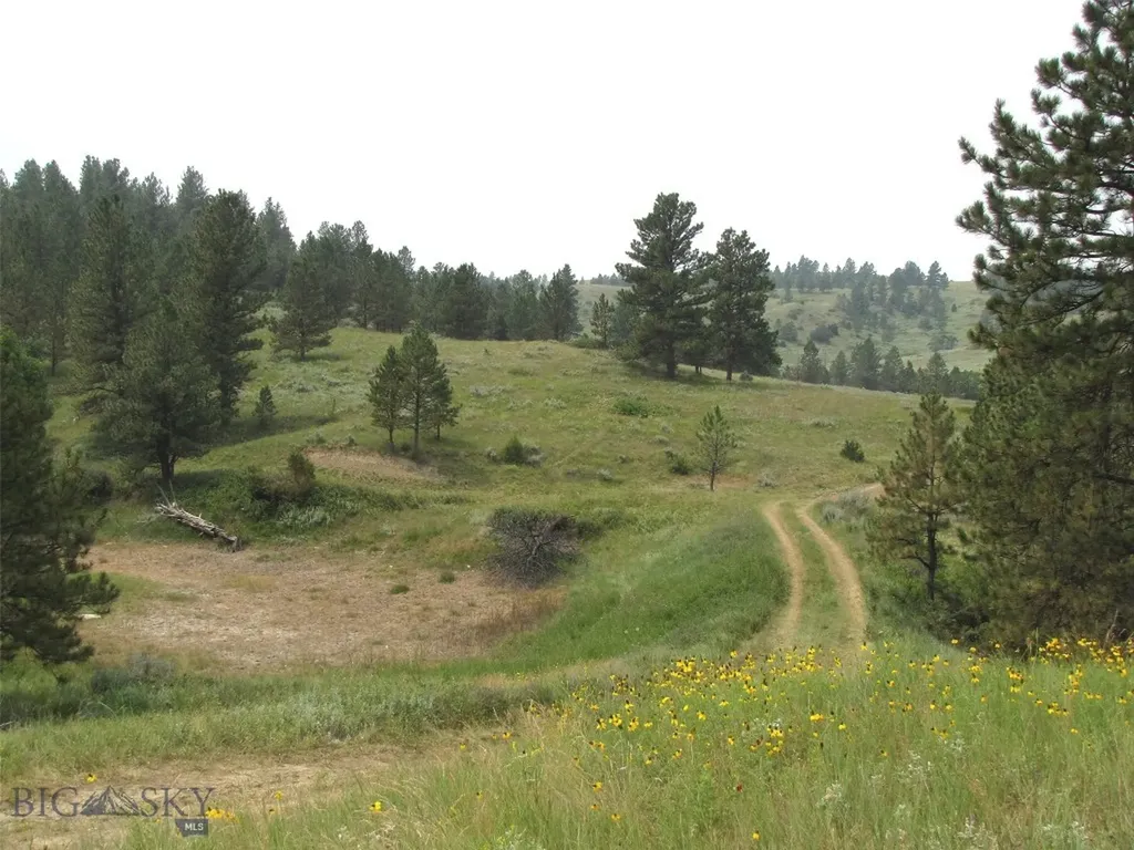 Tbd Lone Rock Canyon Lane Hysham MT 59076