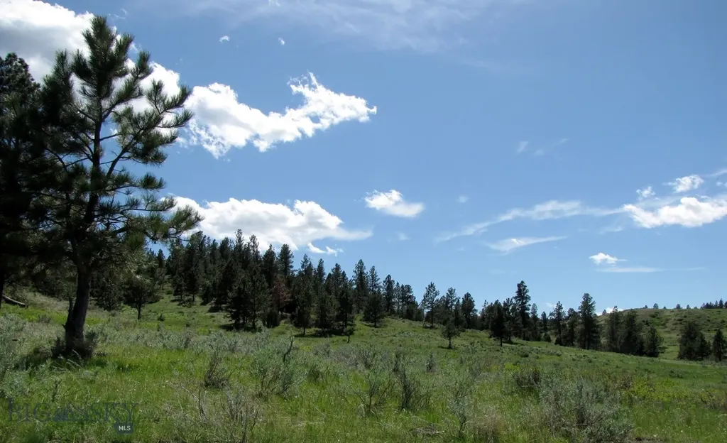 Tbd Lone Rock Canyon Lane Hysham MT 59076