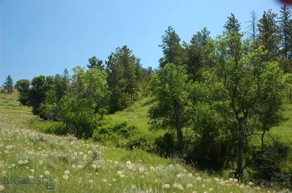 Tbd Lone Rock Canyon Lane Hysham MT 59076