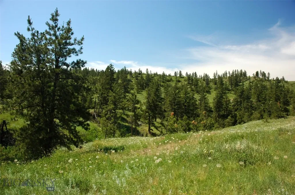 Tbd Lone Rock Canyon Lane Hysham MT 59076