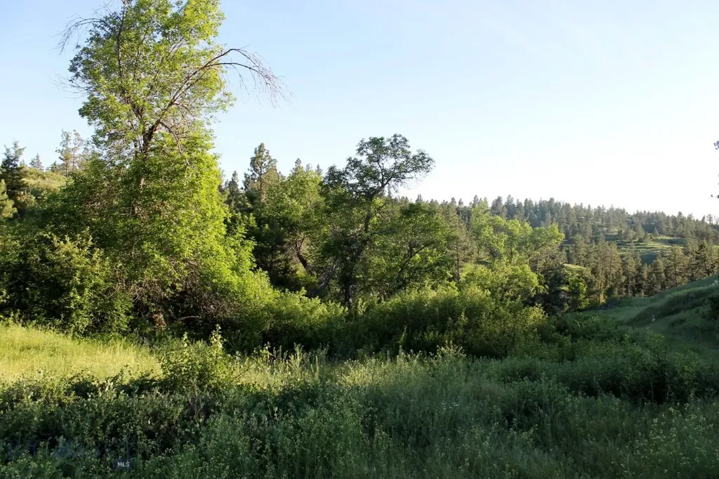 Tbd Lone Rock Canyon Lane Hysham MT 59076