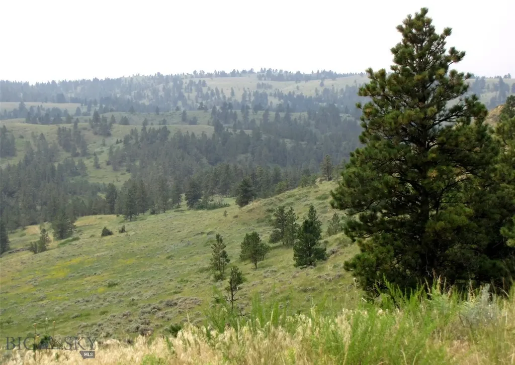 Tbd Lone Rock Canyon Lane Hysham MT 59076