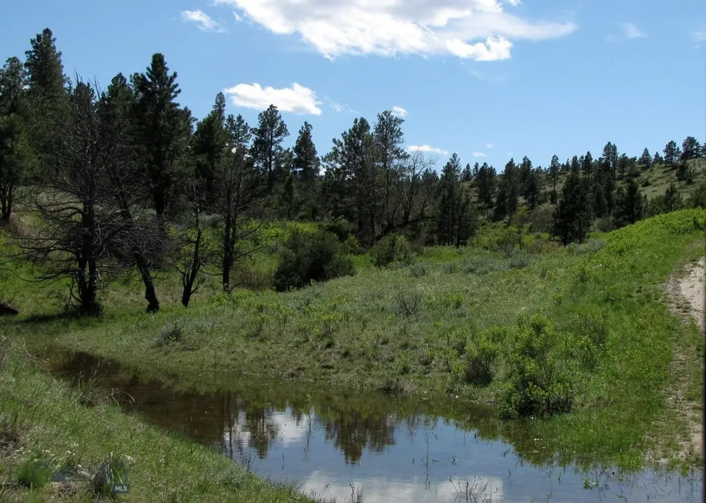 Tbd Lone Rock Canyon Lane Hysham MT 59076