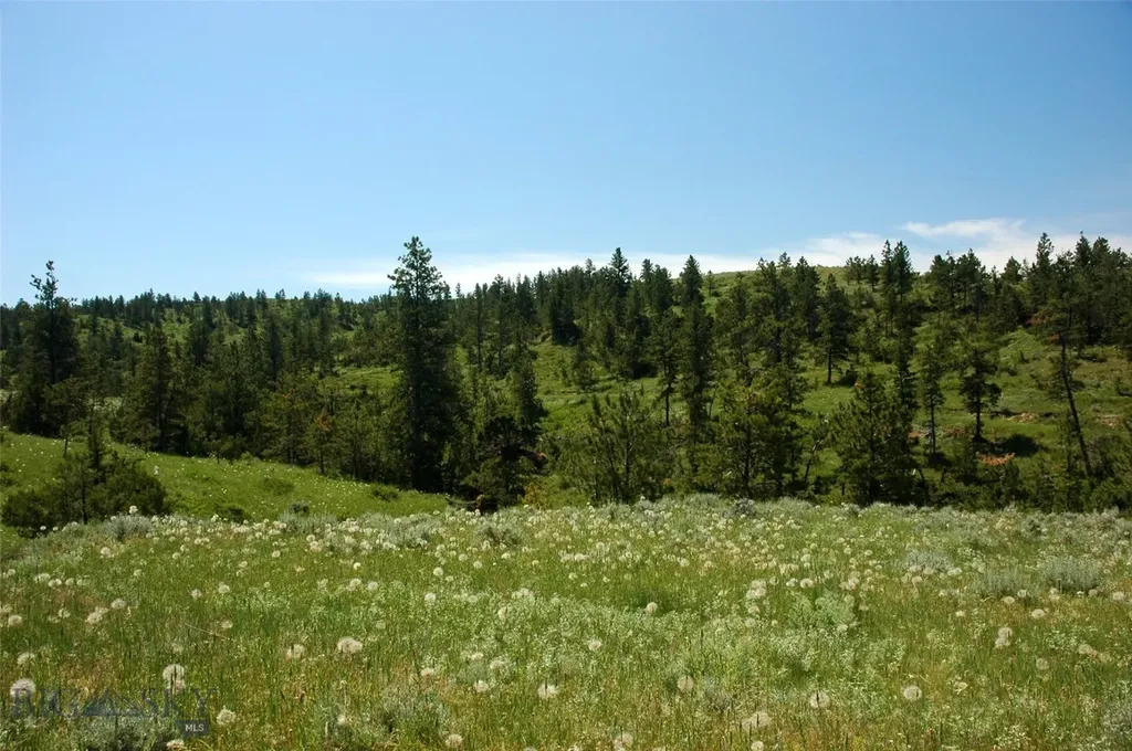 Tbd Lone Rock Canyon Lane Hysham MT 59076