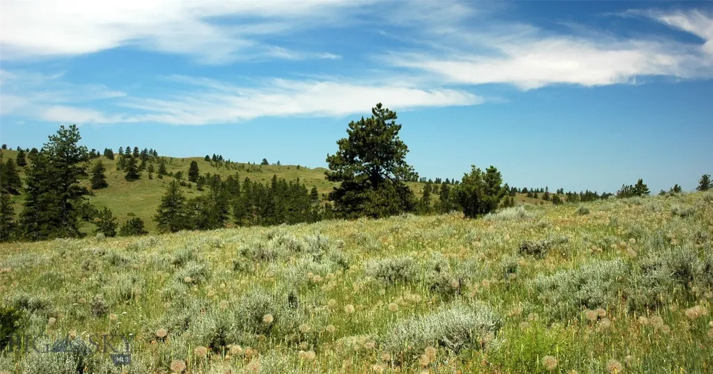 Tbd Lone Rock Canyon Lane Hysham MT 59076