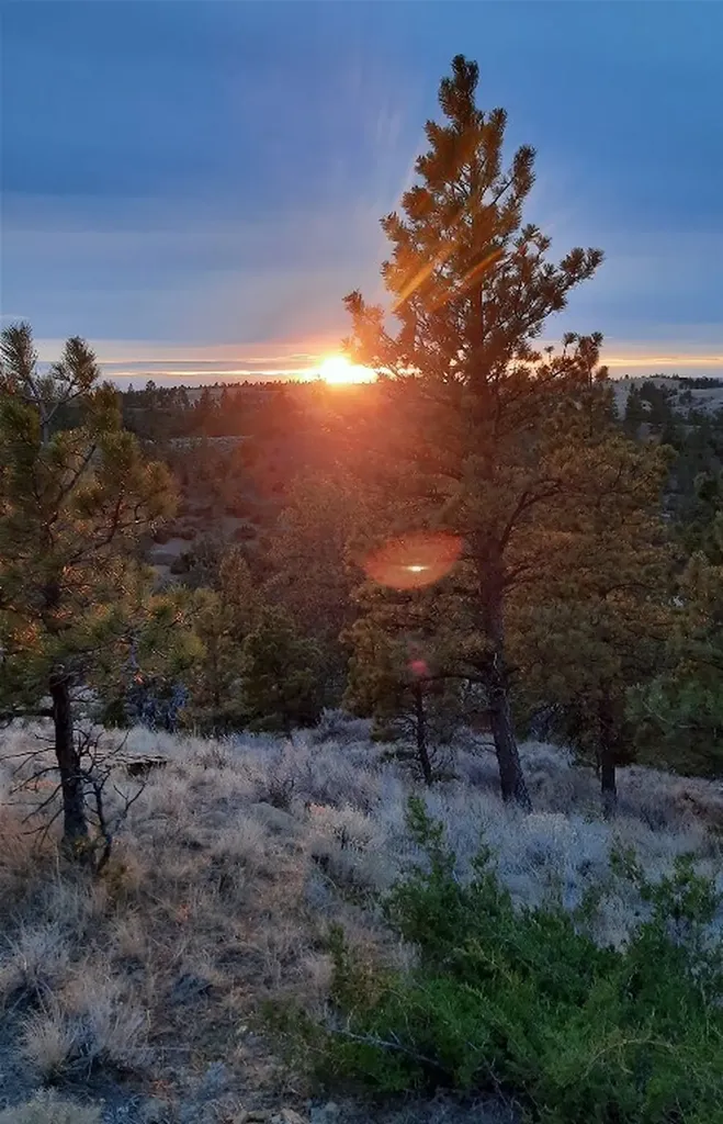 Tbd Lone Rock Canyon Lane Hysham MT 59076