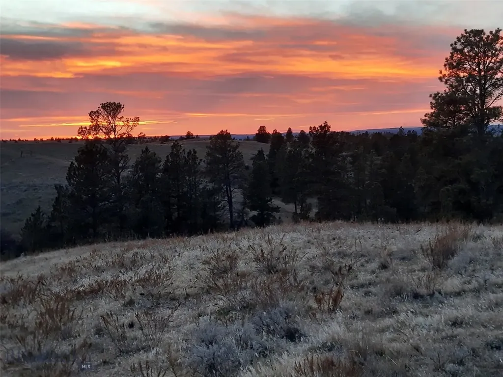 Tbd Lone Rock Canyon Lane Hysham MT 59076