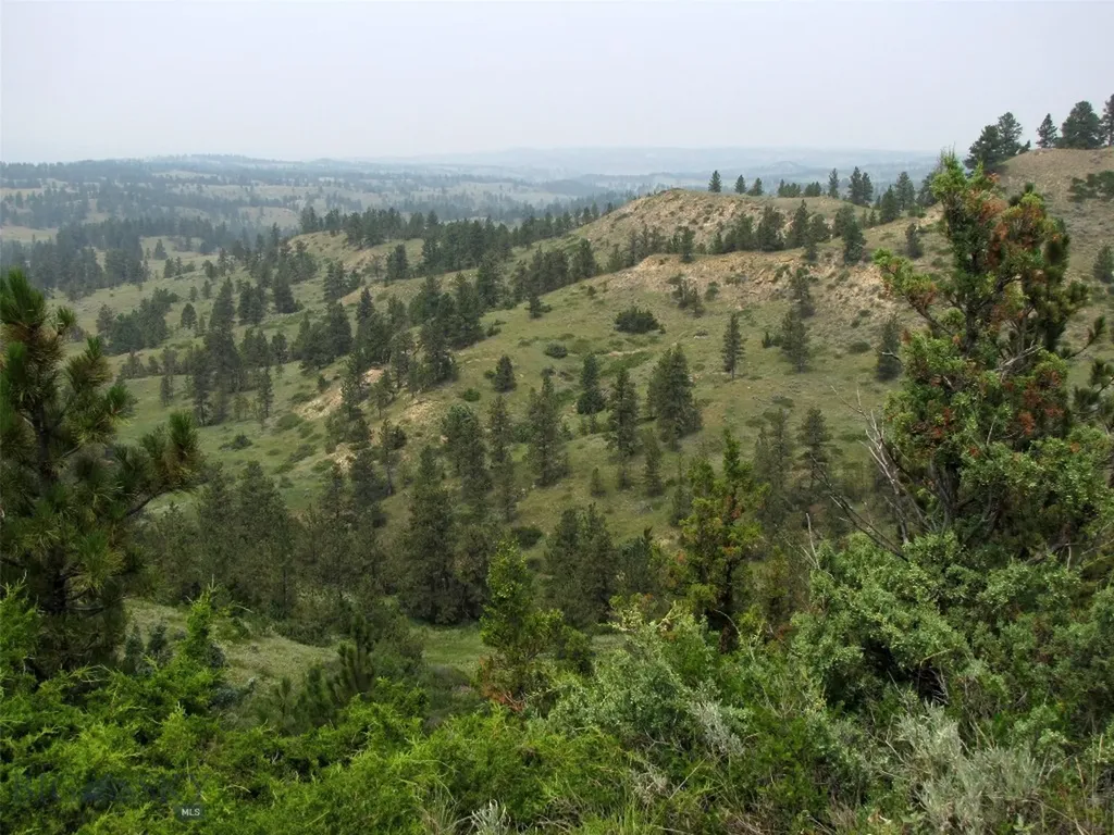 Tbd Lone Rock Canyon Lane Hysham MT 59076