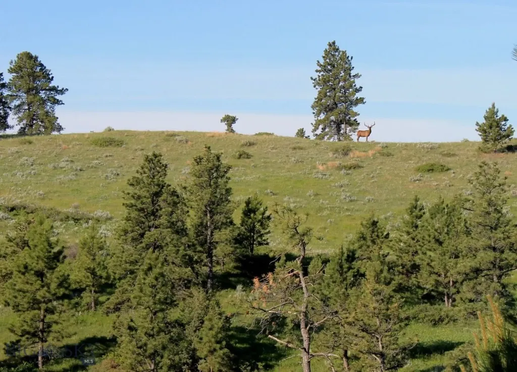 Tbd Lone Rock Canyon Lane Hysham MT 59076