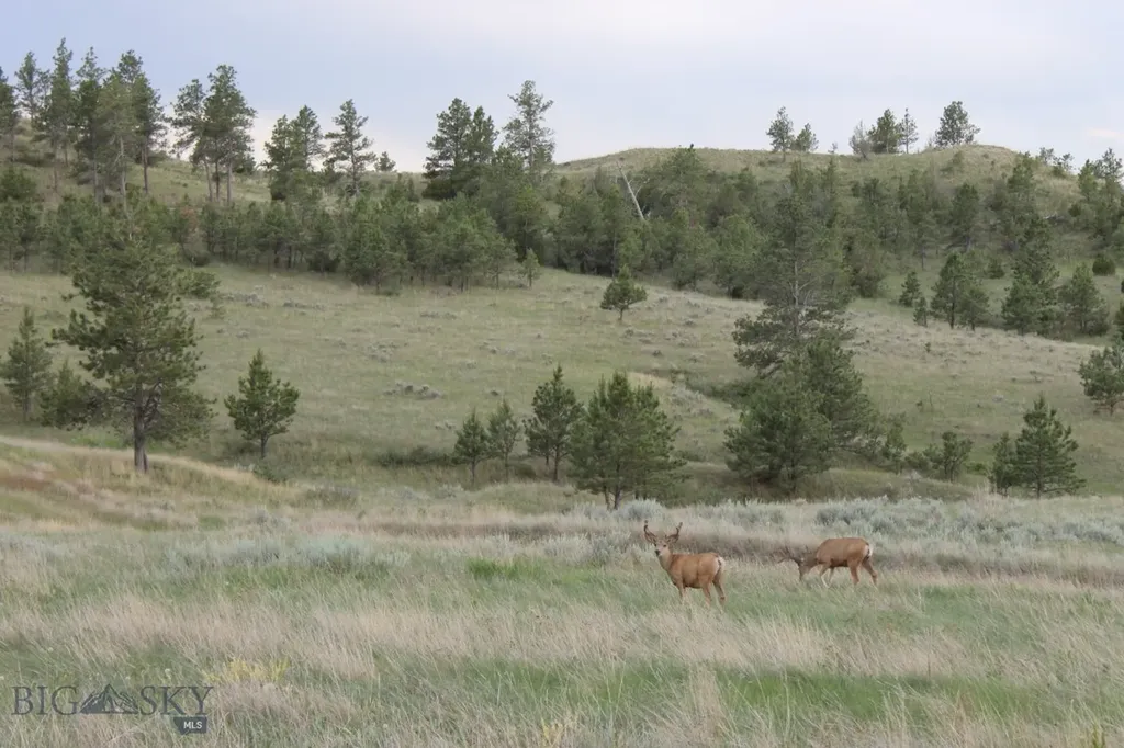 Tbd Lone Rock Canyon Lane Hysham MT 59076