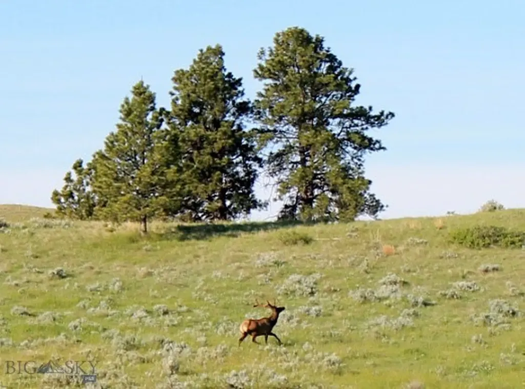 Tbd Lone Rock Canyon Lane Hysham MT 59076