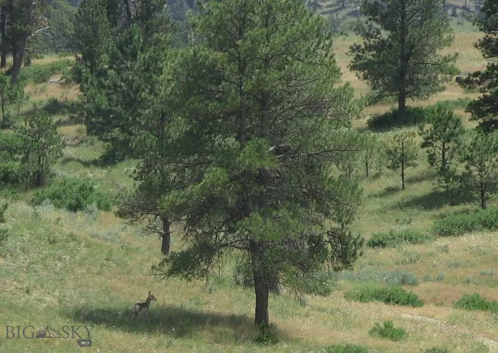 Tbd Lone Rock Canyon Lane Hysham MT 59076