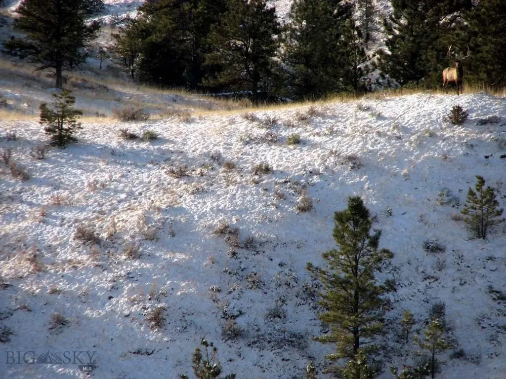 Tbd Lone Rock Canyon Lane Hysham MT 59076