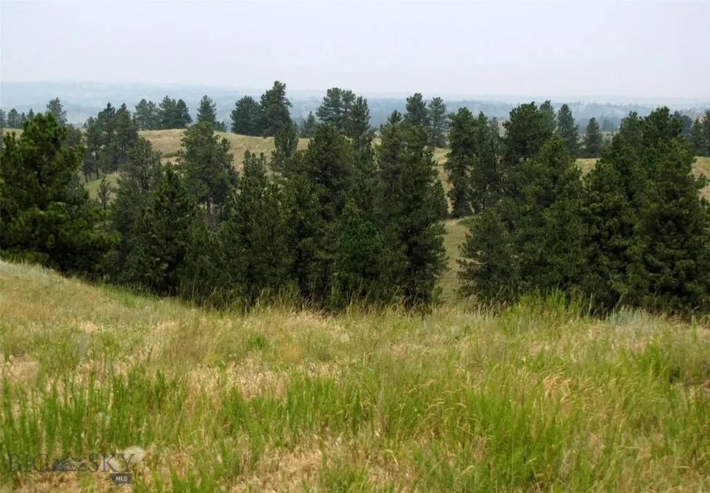 Tbd Lone Rock Canyon Lane Hysham MT 59076