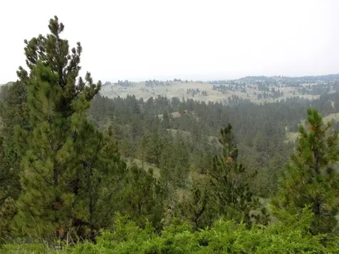 TBD Lone Rock Canyon Lane Hysham MT 59076