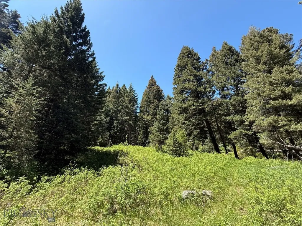 Tbd Dier Lane Gallatin Gateway MT 59730