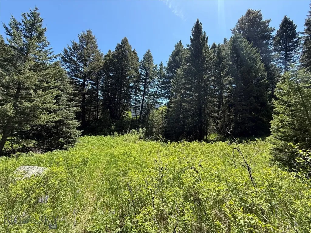 Tbd Dier Lane Gallatin Gateway MT 59730