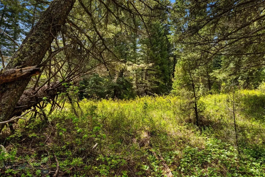 Tbd Dier Lane Gallatin Gateway MT 59730