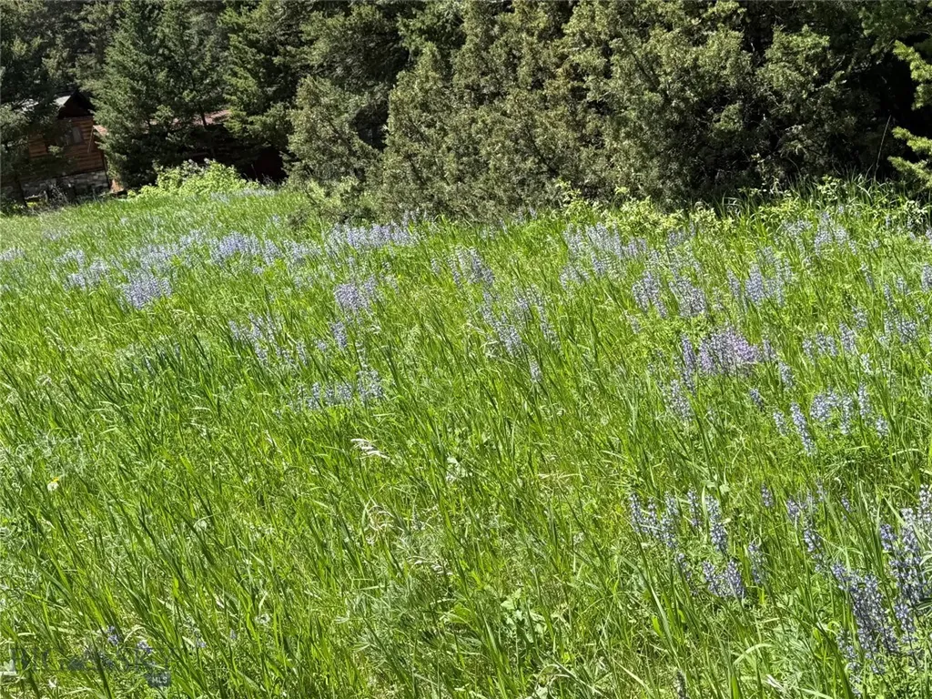Tbd Dier Lane Gallatin Gateway MT 59730