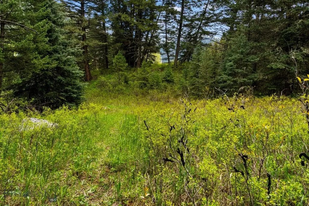 Tbd Dier Lane Gallatin Gateway MT 59730