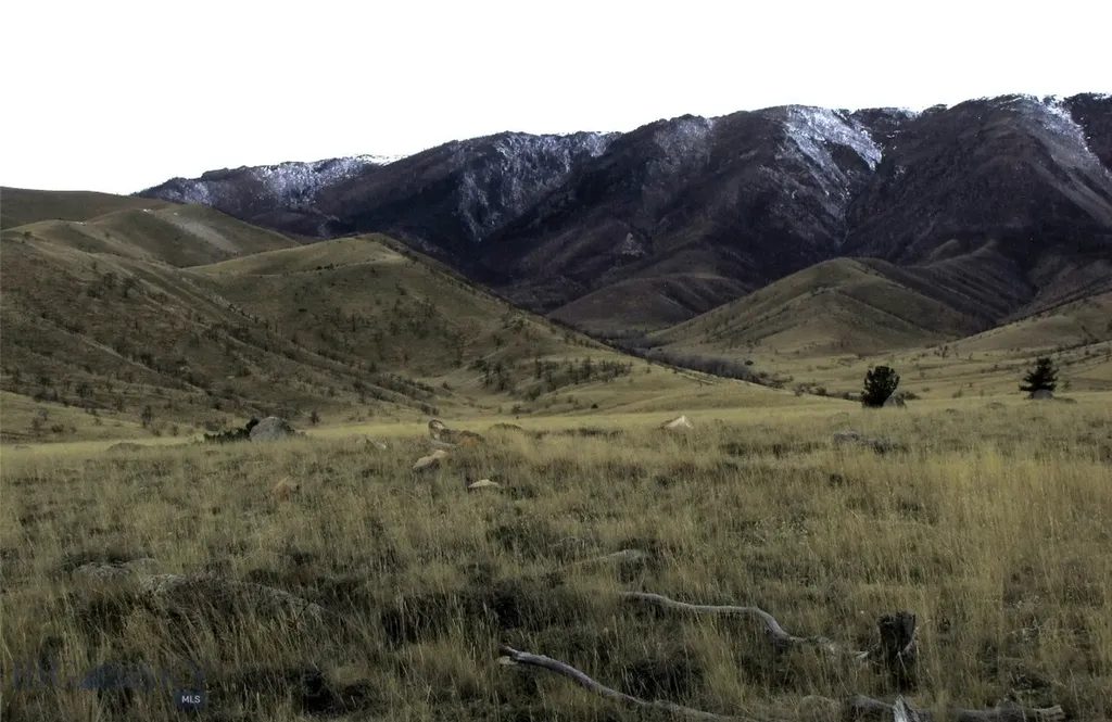 Nhn Ruby Creek Road Belfry MT 59008