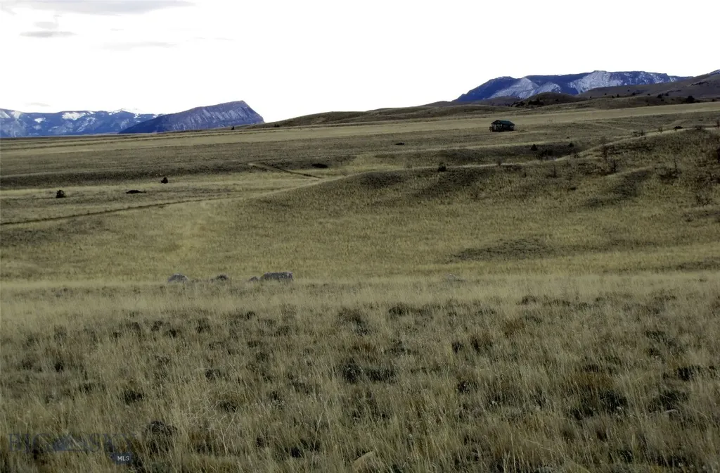 Nhn Ruby Creek Road Belfry MT 59008
