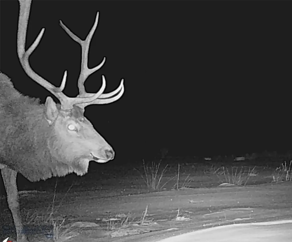 Nhn Ruby Creek Road Belfry MT 59008