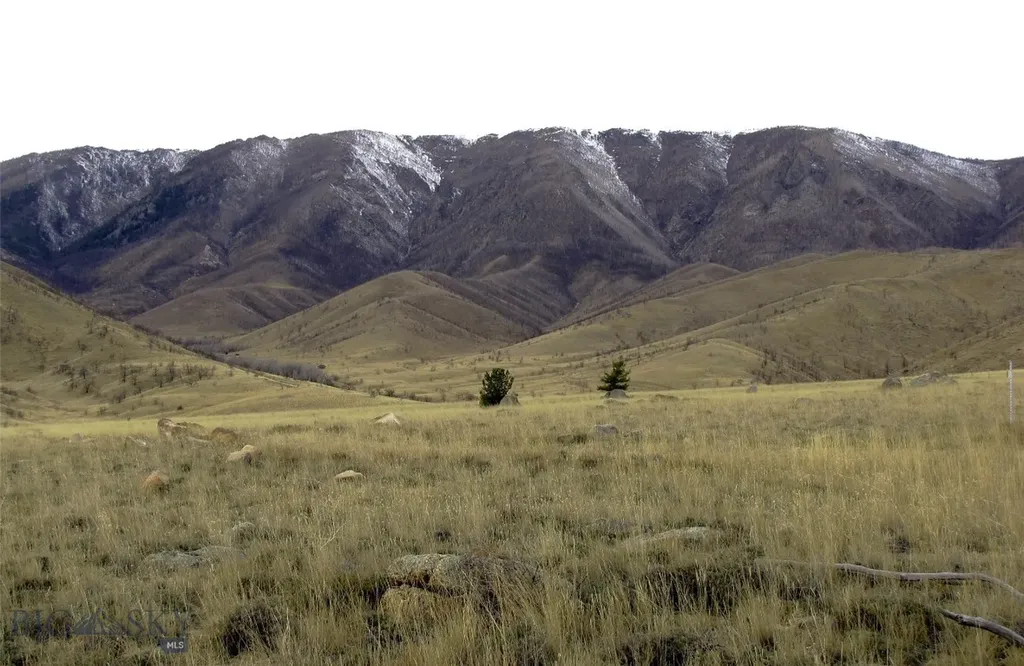 Nhn Ruby Creek Road Belfry MT 59008