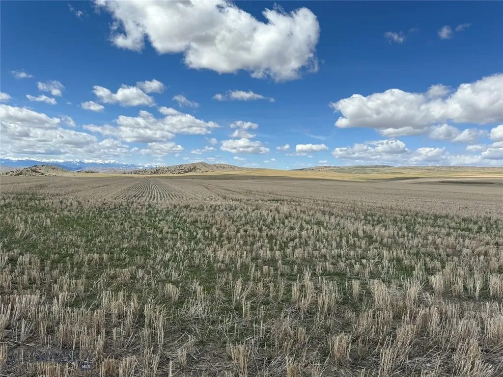 Tract 2a Norris Road Manhattan MT 59741