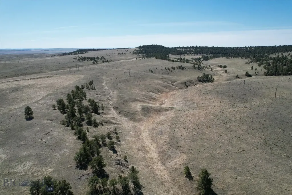 57 South Barber Road Ryegate MT 59036