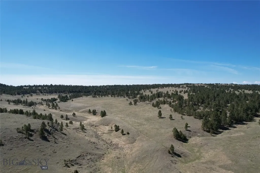 57 South Barber Road Ryegate MT 59036
