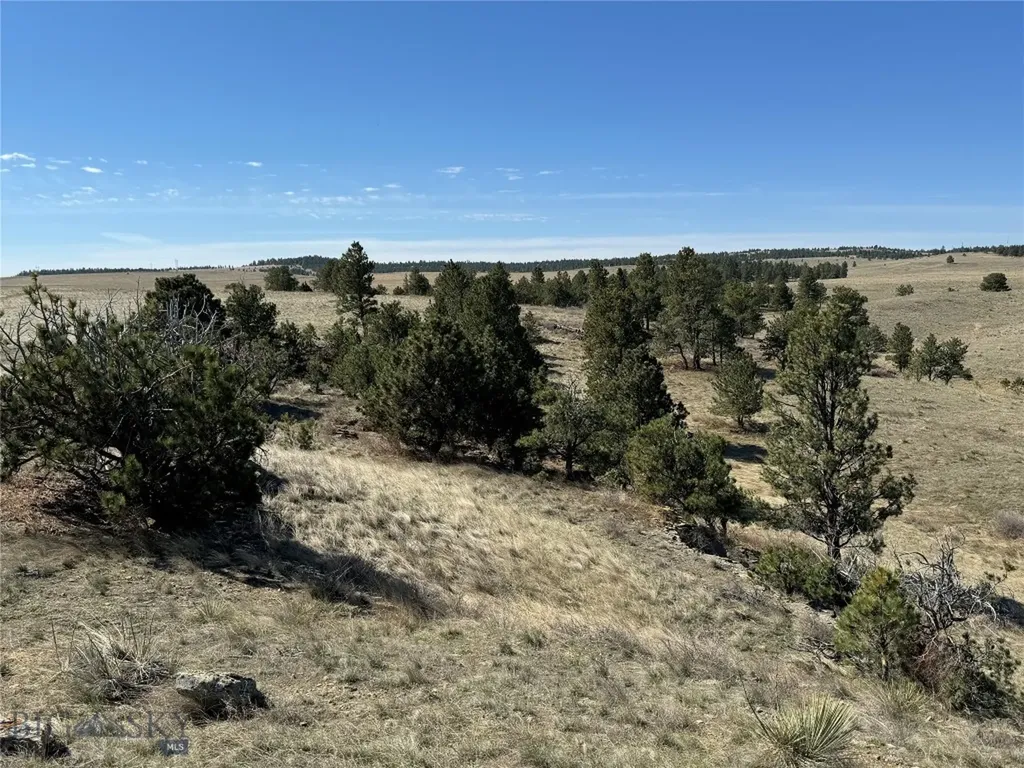 57 South Barber Road Ryegate MT 59036