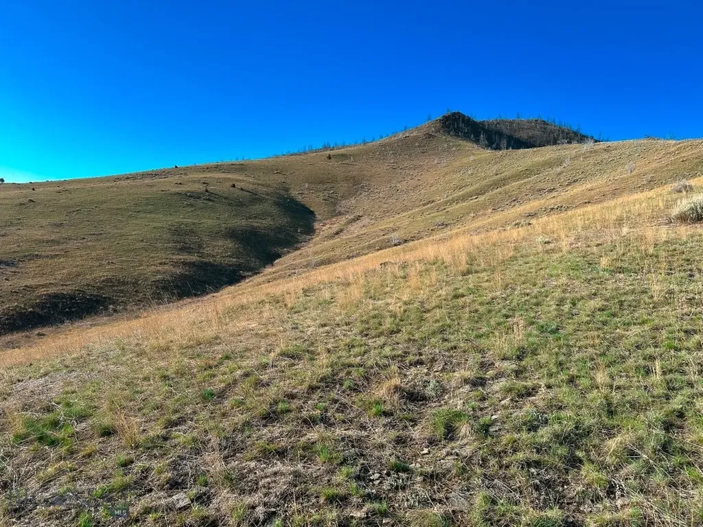 Nhn S Beartrap Canyon Road Norris MT 59745