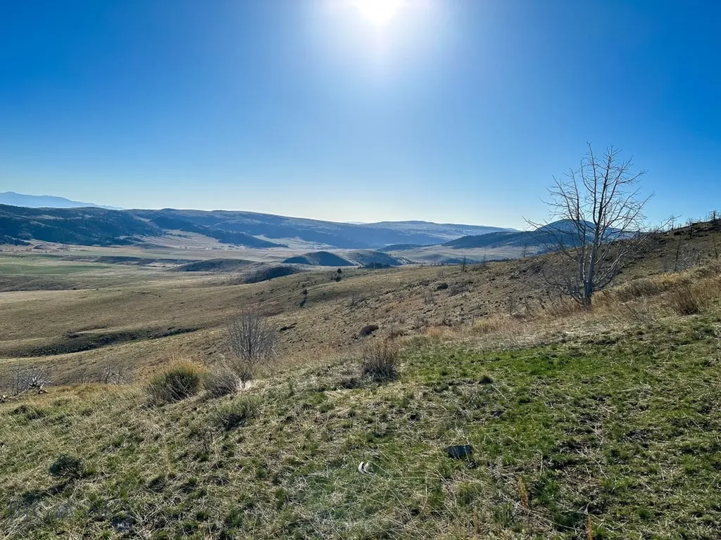 Nhn S Beartrap Canyon Road Norris MT 59745