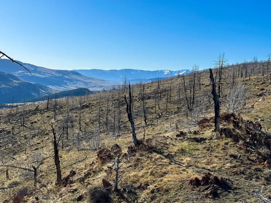 Nhn S Beartrap Canyon Road Norris MT 59745