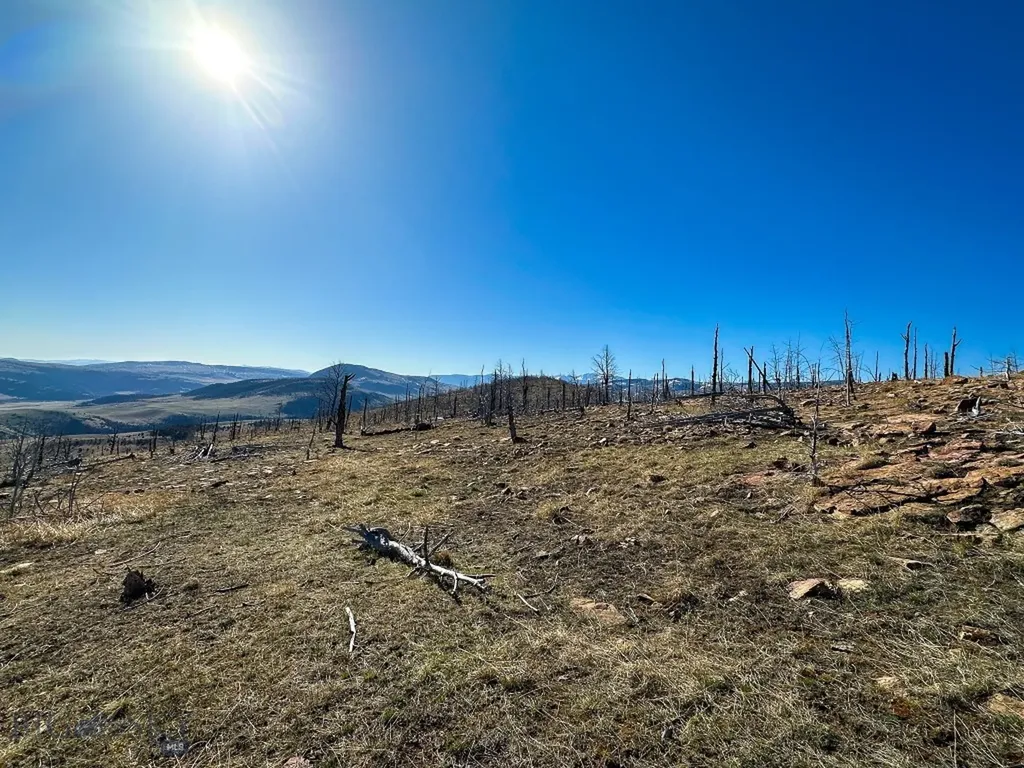 Nhn S Beartrap Canyon Road Norris MT 59745