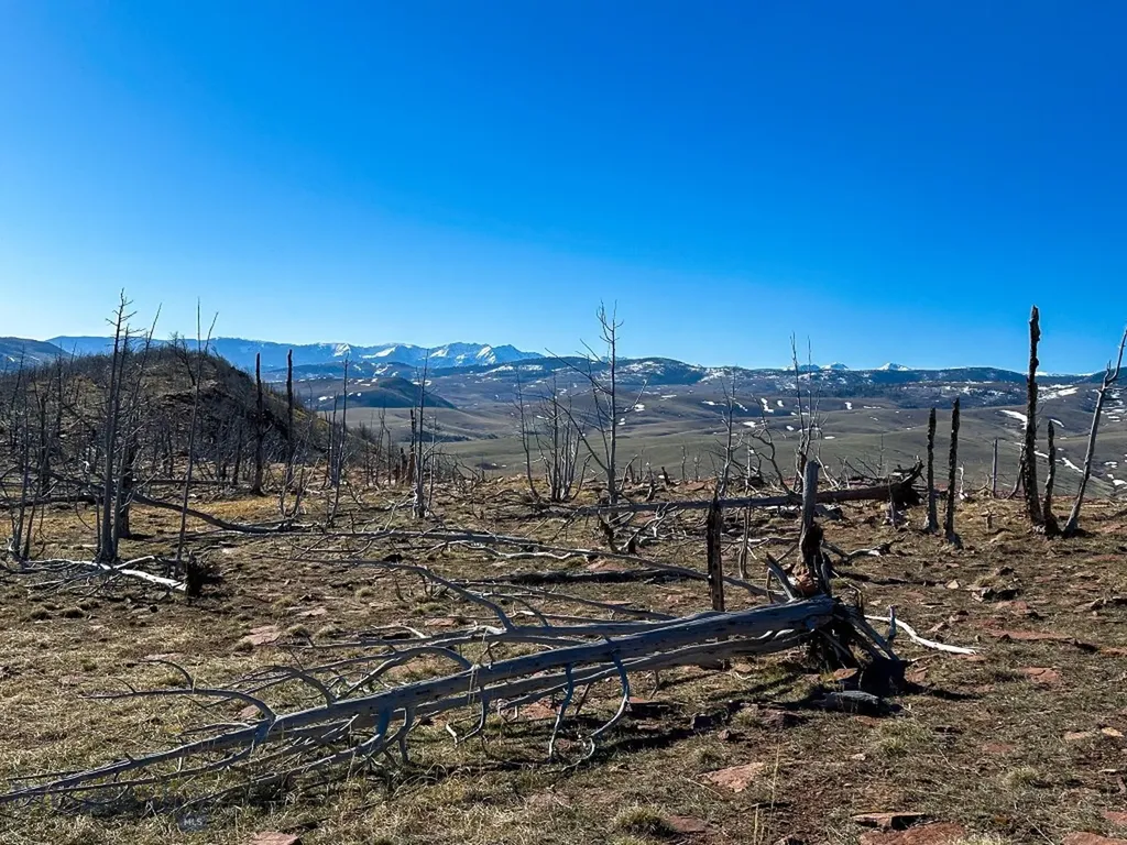 Nhn S Beartrap Canyon Road Norris MT 59745